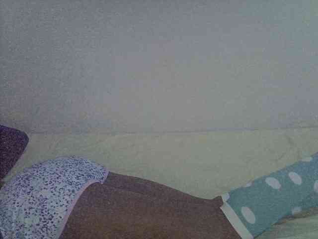 Sugarnest webcam