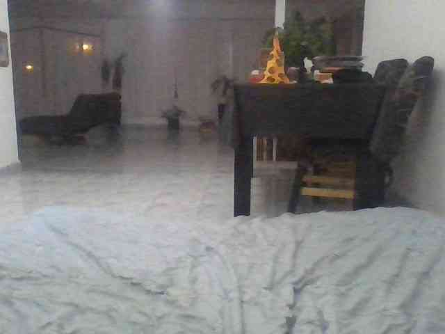 LaBellayLaBestia webcam