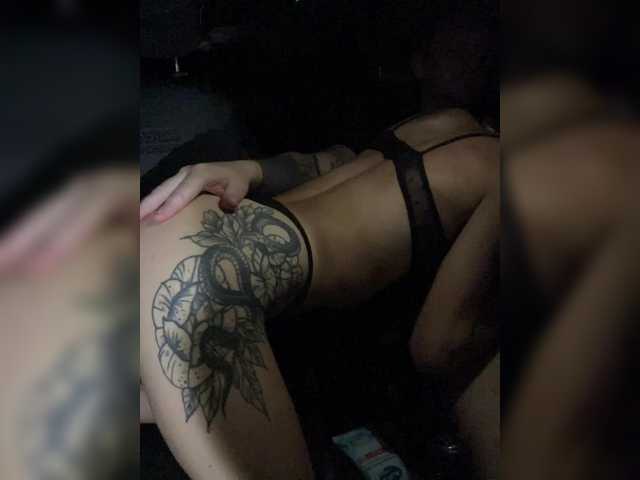 Cat-meowa sohbetine git Cat-meowa