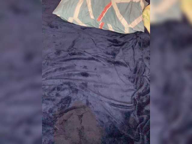 go to chat with Cat-meowa