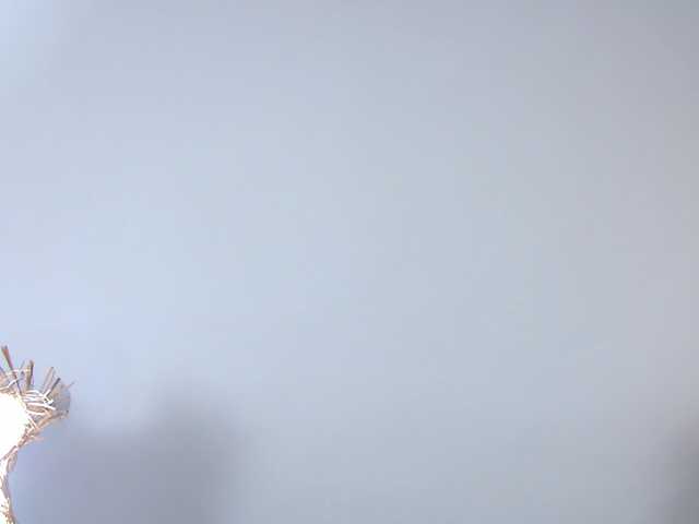 MisteryBlush Live Cam on BongaCams