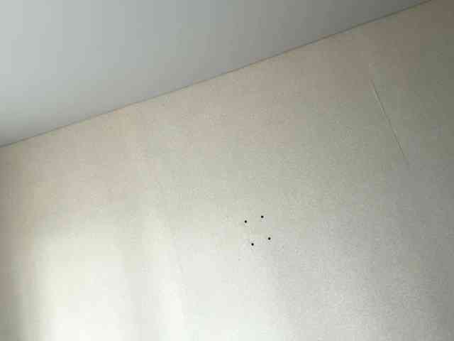 GeorgianneRonnfeldt webcam