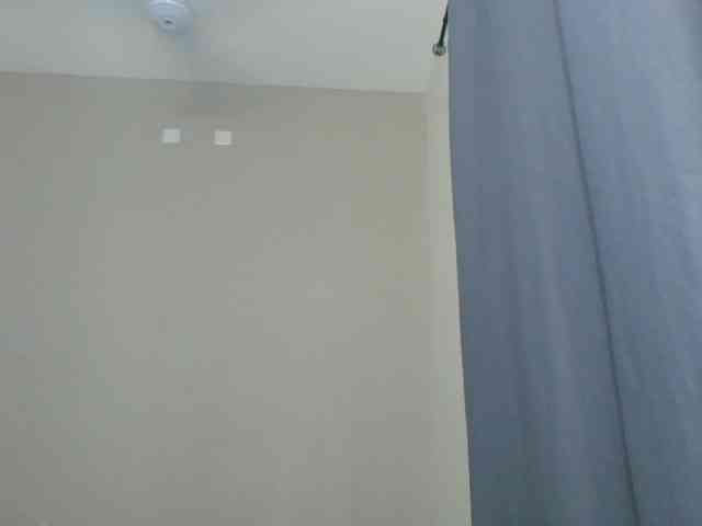 Cteamypitches webcam