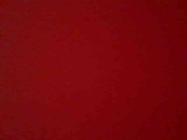 Elvirasextona webcam