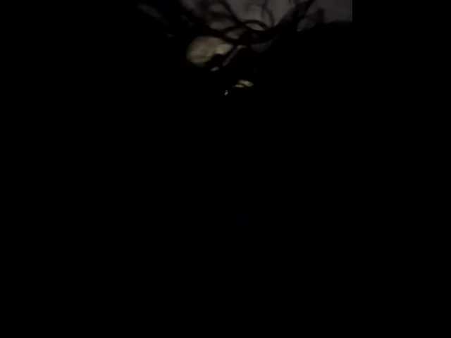 go to chat with Flora8845