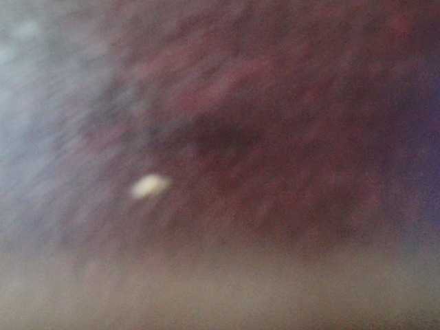 Vai a chattare su Ka-si19 Ka-si19