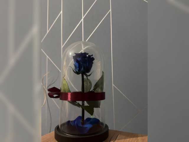 Entrez le videochat erotique avec le
modèle Nikabr Nikabr