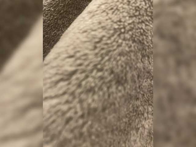 Entra en el chat con el modelo jopastayavika jopastayavika