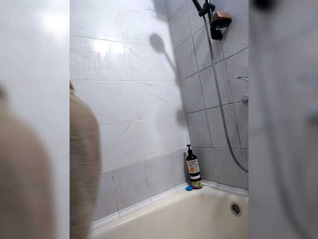 Entrez le videochat erotique avec le
modèle HATPAXAHA HATPAXAHA