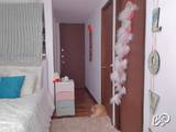 AlexaHills's snapshot 13