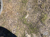 ENTONI33RU's snapshot 10