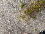 ENTONI33RU's snapshot 3
