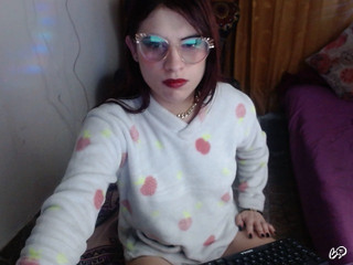 1 snimak modela Littlesara97