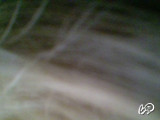Aleksandr043's snapshot 5
