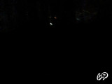 Kovergonny's snapshot 2