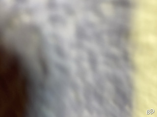 YoungGato's snapshot 3