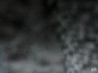 RubenCash02's snapshot 13