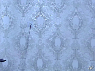 LittleSui's snapshot 8