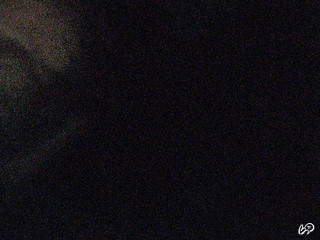BlahBlamo's stillbild 15