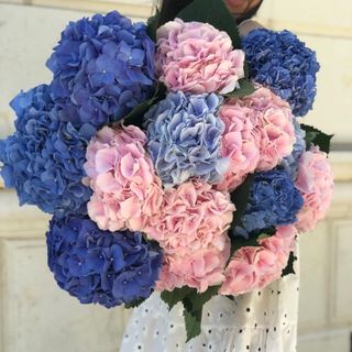 I wish flowers  :)