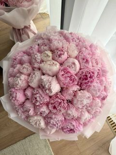 ✨Flowers
