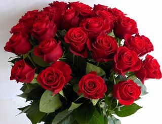 Bouquet of roses