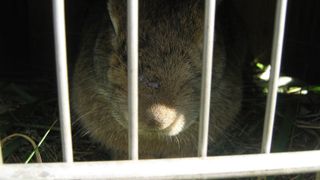 I want my own apartment