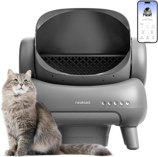 cat litter box