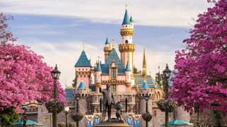 Visit to Walt Disney World Resort, USA