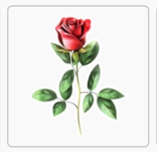 amo las rosas