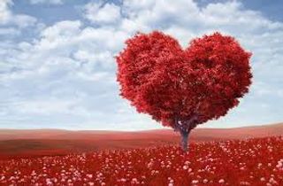Love all over the world