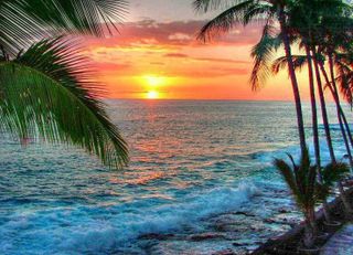 Sea