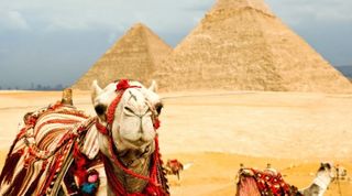 Holidays in Egypt