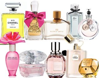 fragrance