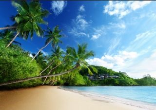 I want to go to the ocean
