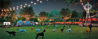 Dog Cafe