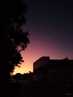 Mi house