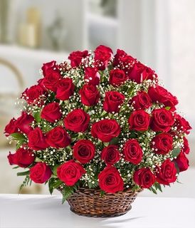 roses!