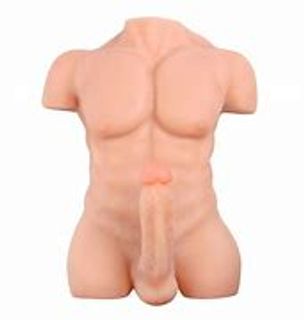 Torso