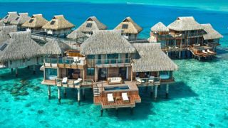 Dream Holiday
