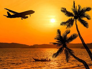 travel the world