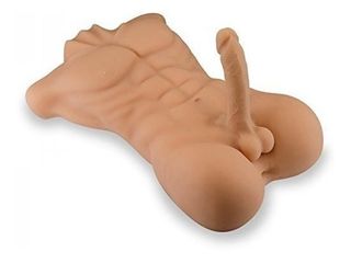 torso