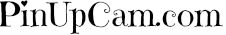 Pinupcam