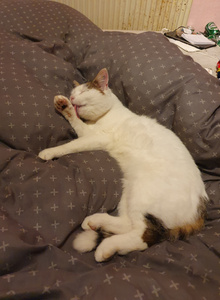 __NotMe__ My Photos photo 12061437