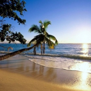Holidays on the islands