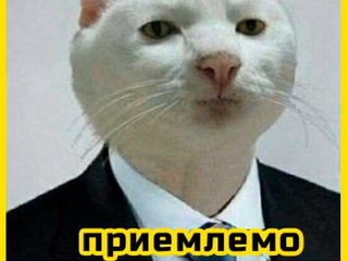 My Photos