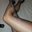 -YUVENTA-