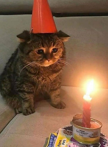 _DEN_ My Photos photo 8661762