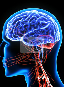 Cirrus My Photos photo 12559948