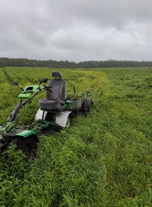 -VITALE4KA-- My Photos photo 13955285